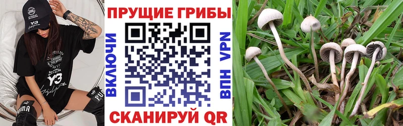 Псилоцибиновые грибы MAGIC MUSHROOMS  Купить закладки  Сибай 
